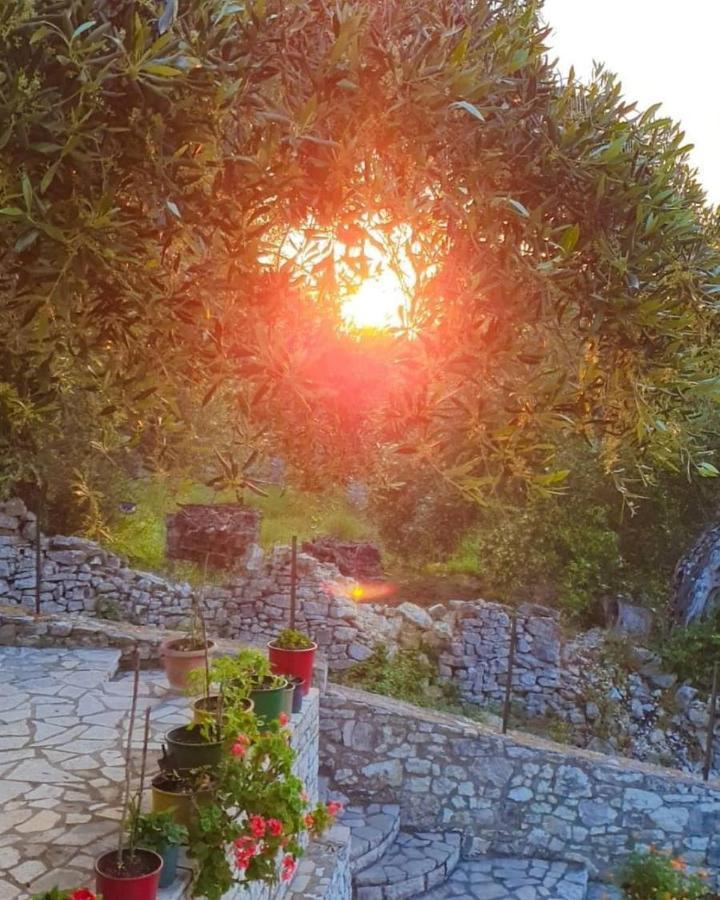 Villa Raxi Fountana Экстерьер фото